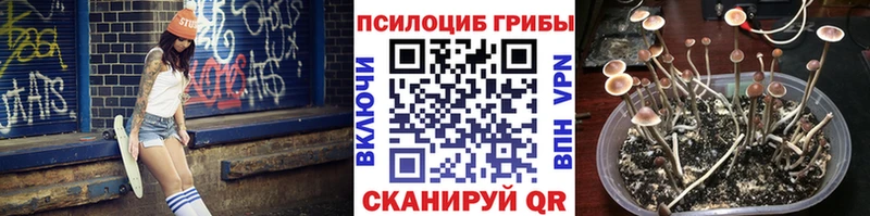 гидра сайт Биробиджан Галлюциногенные грибы мухоморы